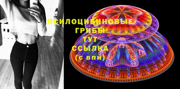 амф Арсеньев