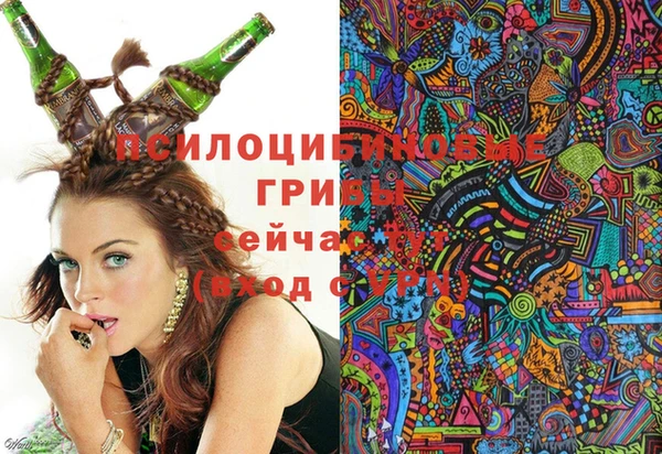 амф Арсеньев