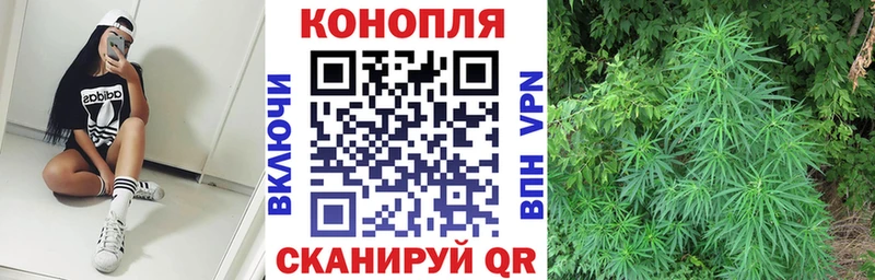 Конопля SATIVA & INDICA Лахденпохья